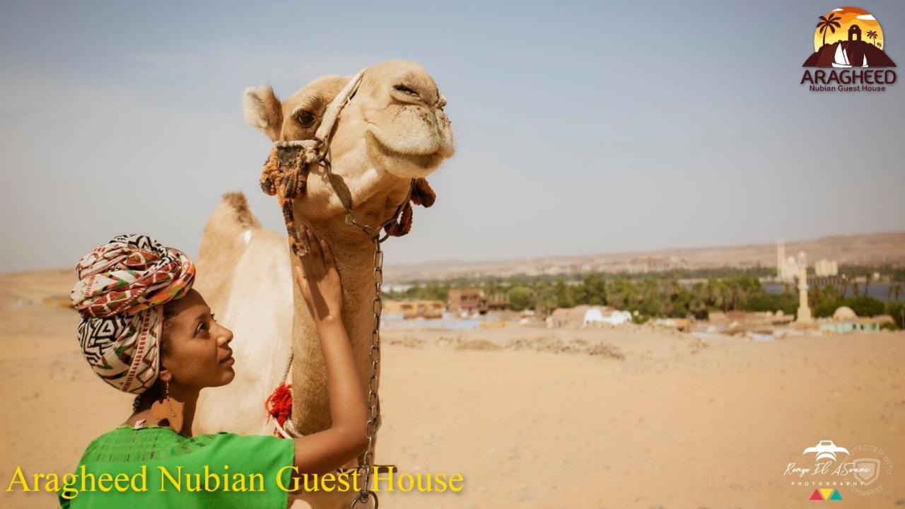 Nubian Kingdom Aragheed House Apartment Асуан Екстериор снимка