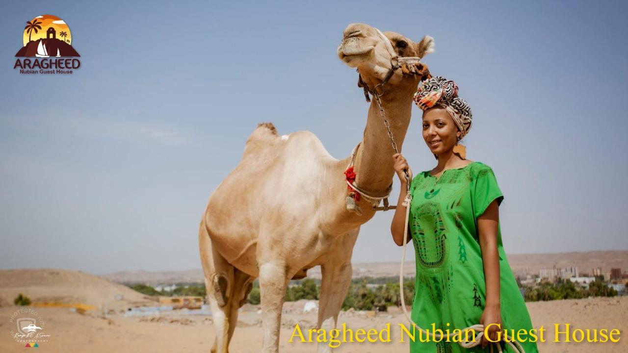 Nubian Kingdom Aragheed House Apartment Асуан Екстериор снимка