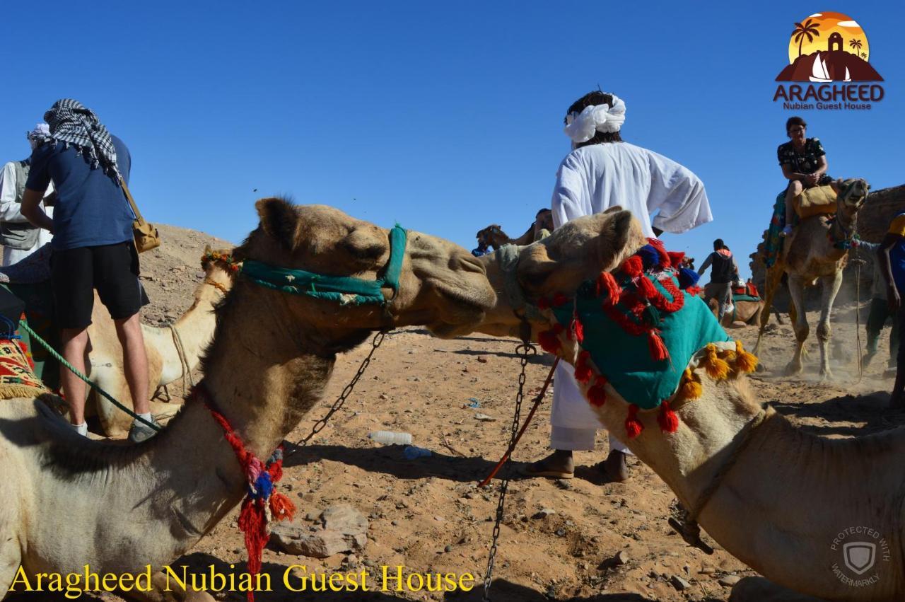 Nubian Kingdom Aragheed House Apartment Асуан Екстериор снимка