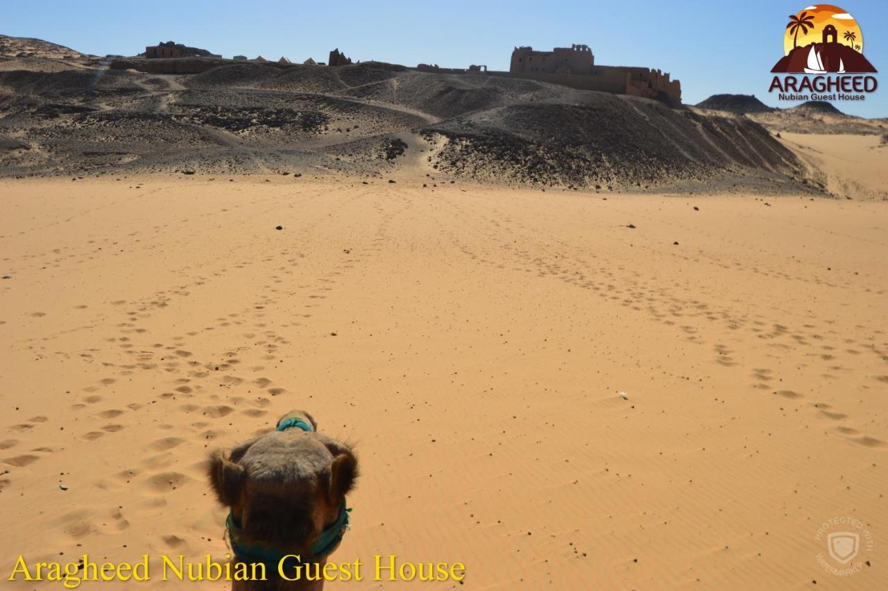 Nubian Kingdom Aragheed House Apartment Асуан Екстериор снимка